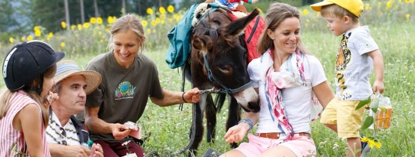 Tierische Urlaubserlebnisse auf dem Ramsi-Bauernhof Esel- und Ponyreiten, Tiertrekking und Tiereführerschein