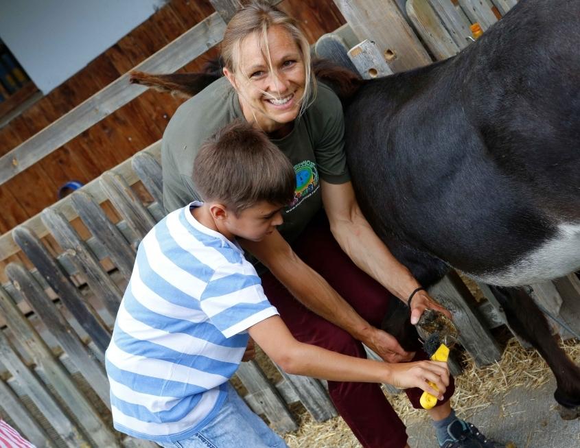 Tierische Urlaubserlebnisse auf dem Ramsi-Bauernhof: Esel- und Ponyreiten, Tiertrekking und Tiereführerschein