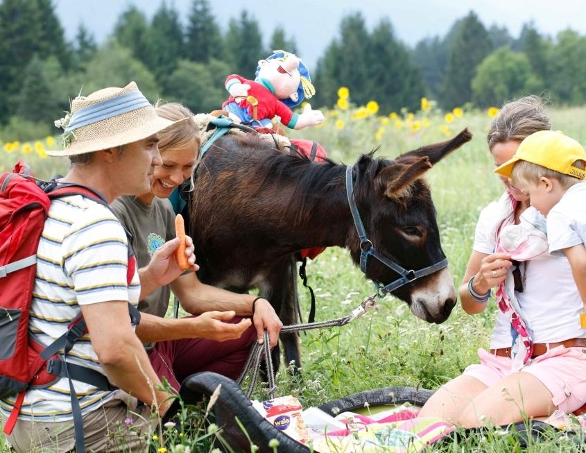 Draußen spielen, Tierische Urlaubserlebnisse auf dem Ramsi-Bauernhof: Esel- und Ponyreiten, Tiertrekking und Tiereführerschein