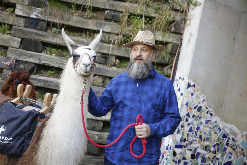 How the gnome Ramsi made friends with the llamas.