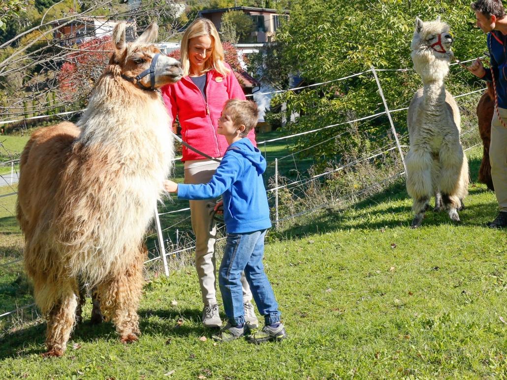 Llama Leisure - SOS Children's Villages