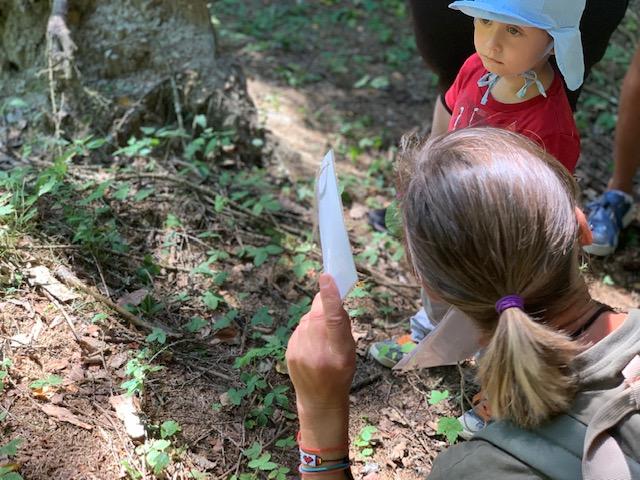On the trail of nature: we discover the forest habitat during Ramsis expedition 