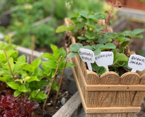 Oma Ramsis Kräutergarten - Kinderhotel Ramsi