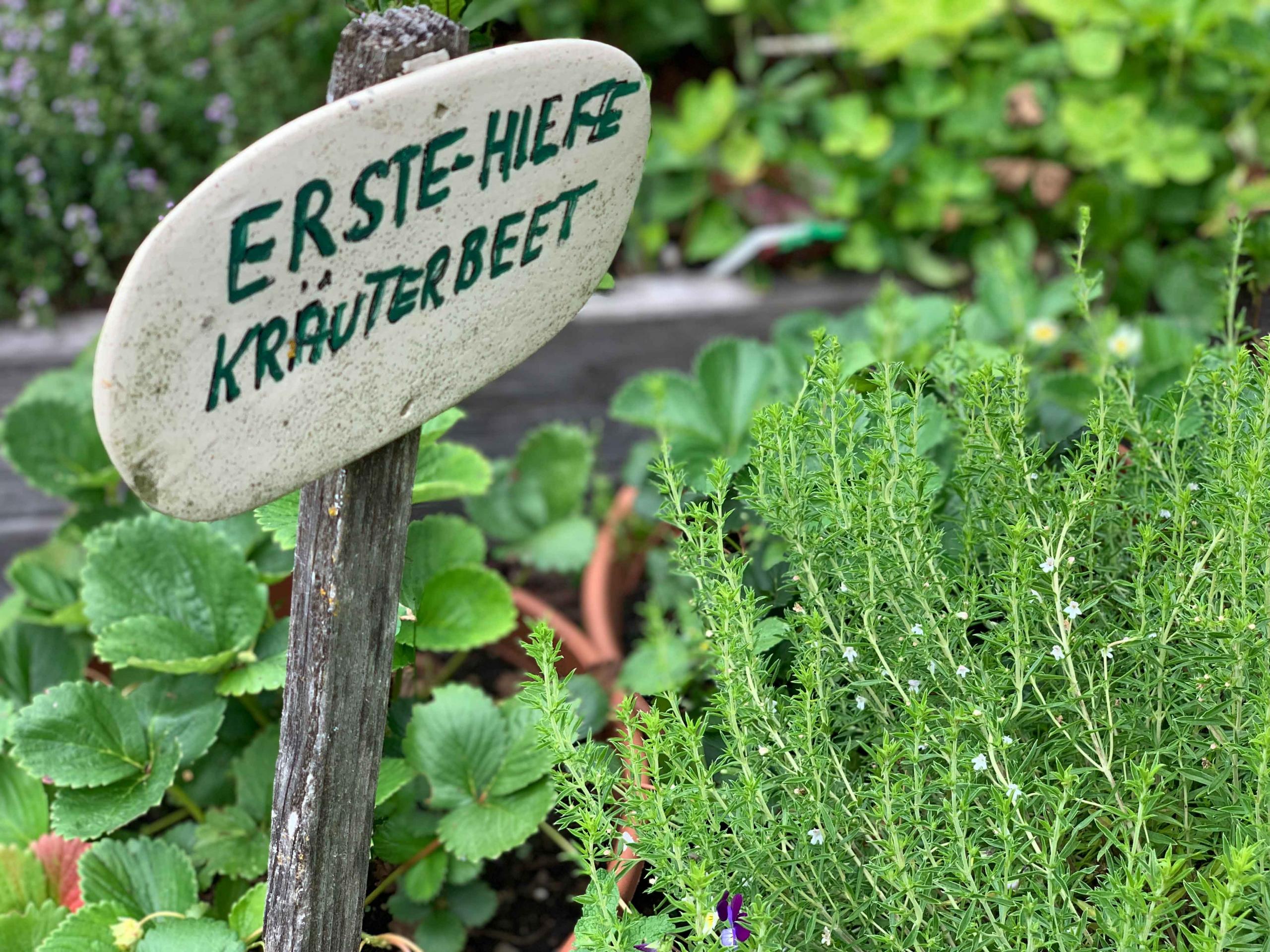 kinderhotel-ramsi_explore grandma Ramsi’s herb garden