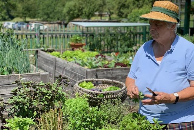 When the soul needs a holiday, go to the garden! - Grandma Ramsis herb world