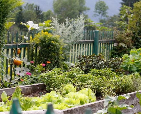 Kinderhotel Ramsi Cuisine Herb garden