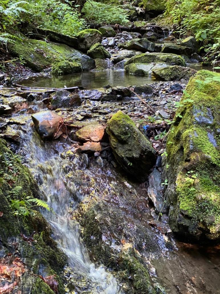 Water hiking in the Gössering rift - Kinderhotel Ramsi