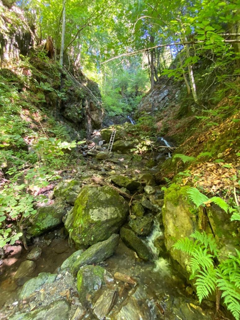 Wasserwandern im Gösseringgraben - Kinderhotel Ramsi