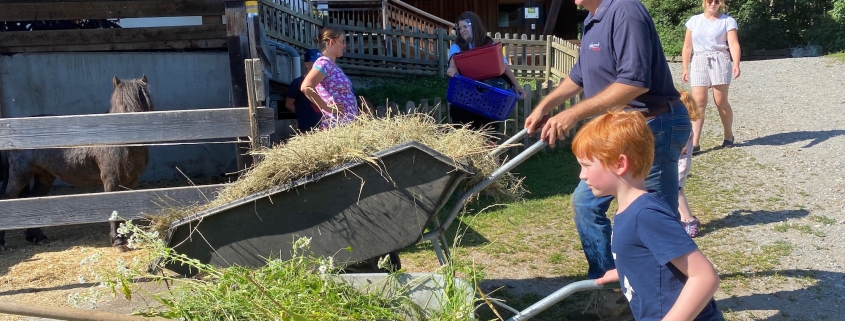 Tierpflege und Hausbesorgungen bei Ramsi