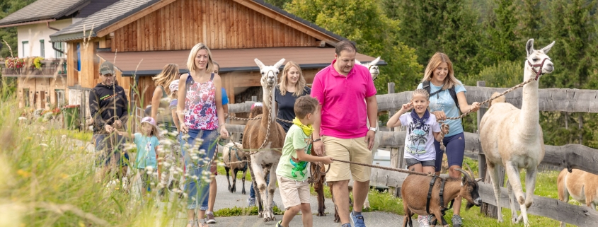 LAMATREKKING MIT UNSEREN NEUEN FREUNDEN